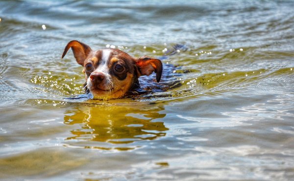 Quelles astuces pour débuter un roman historique basé sur la période de la Révolution française ?